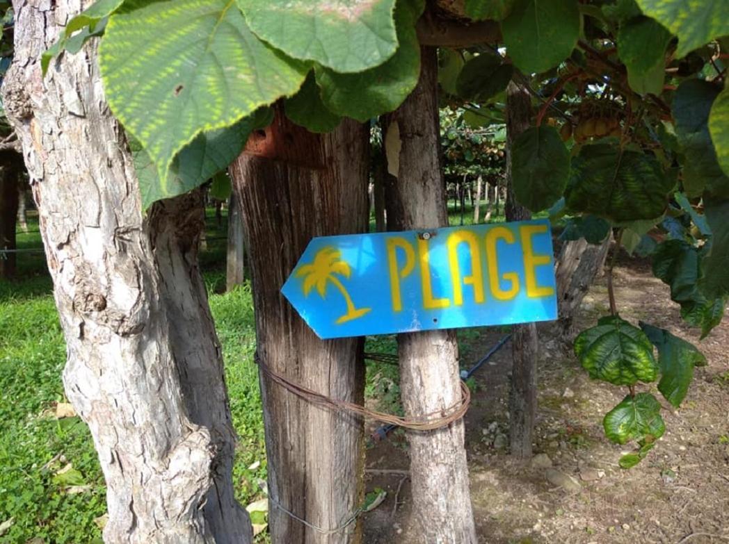 Chalet "Le Petit Olivier" Gites Appart 'Hotel L'Echappee Belle D'Aubenas Logement 2 Sur 3 Zewnętrze zdjęcie